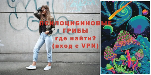 ГАЛЛЮЦИНОГЕННЫЕ ГРИБЫ Аркадак