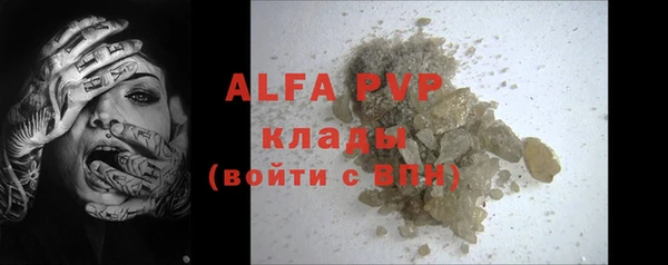 ГАЛЛЮЦИНОГЕННЫЕ ГРИБЫ Аркадак