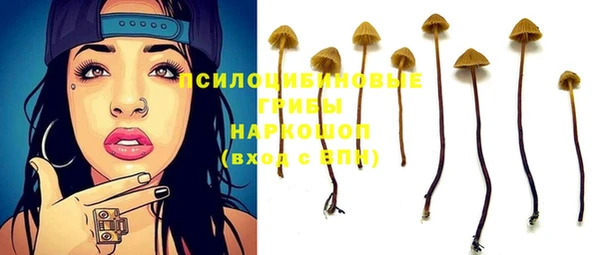 молекула духа Армянск