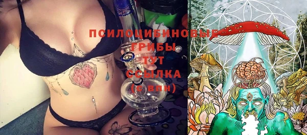 молекула духа Армянск