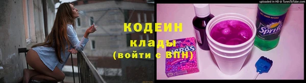 ГАЛЛЮЦИНОГЕННЫЕ ГРИБЫ Аркадак