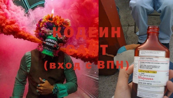 ГАЛЛЮЦИНОГЕННЫЕ ГРИБЫ Аркадак