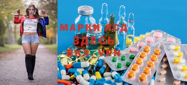 ГАЛЛЮЦИНОГЕННЫЕ ГРИБЫ Аркадак