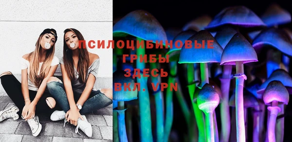 ГАЛЛЮЦИНОГЕННЫЕ ГРИБЫ Аркадак