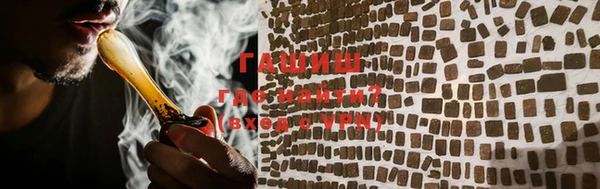 ГАЛЛЮЦИНОГЕННЫЕ ГРИБЫ Аркадак